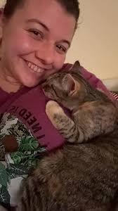 Adoptable torte and tabby cat pair for adoption