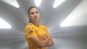 Tigres is currently the defending apertura champion, winning the title in the fall. Este Es El Plantel De Tigres Femenil Para El Apertura 2019 Tigresfemenil Youtube