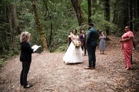 There's also a waterfall, lake with swans, and meticulously groomed privet hedges that add to the unforgettable experience that this venue has to offer. A Lighthearted Enchanted Forest Wedding For Amara And Kalan