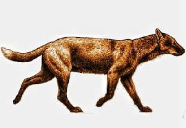 Pin On Top 5 Extinct Animals