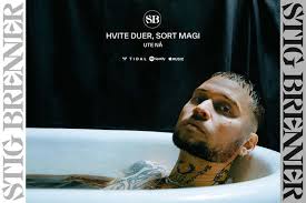 Stig Brenner visual identity