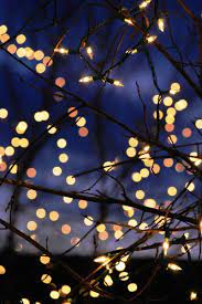 Christmas background christmas wallpaper christmas lights aesthetic christmas background neat. Christmas Lights Aesthetic Wallpapers Top Free Christmas Lights Aesthetic Backgrounds Wallpaperaccess
