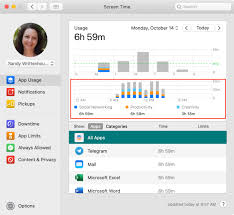 understanding the usage reports in screen time on mac