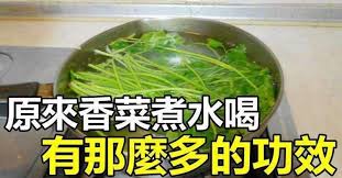 別嫌棄香菜了 香菜煮水喝 有那麼多的功效 还有水煮毛豆 木瓜 玉米的功效 remedies health vegetables