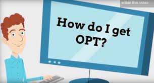 Kết quả hình ảnh cho opt program