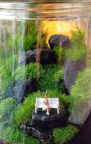 40 Inspiring Bonsai Terrarium Jars Design Ideas To Try Homahomy Terrarium Scene Miniature Garden Bonsai