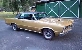 Image result for Tiger Gold 1965 GTO