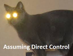 Download Cat Glowing Eyes Meme Png Gif Base Seeking for free cat eyes png images? download cat glowing eyes meme png