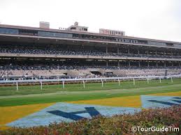 Del Mar Horse Races Tourguidetim Reveals San Diego