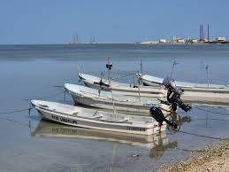 Pescadores de Campeche alertan por robo constante de motores de lancha -  PorEsto