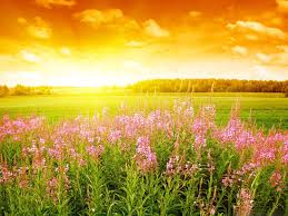 Find the best wallpaper for summer season on getwallpapers. 96 Summer Season Wallpapers On Wallpapersafari