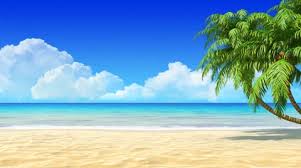 We did not find results for: Beach Background Stock Footage Royalty Free Stock Videos Pond5