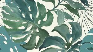 Dark green aesthetic rainbow aesthetic aesthetic colors aesthetic pictures green aesthetic tumblr aesthetic grunge slytherin aesthetic green wallpaper green arrow. Computer Wallpapers Green Aesthetic 2021 Cute Wallpapers
