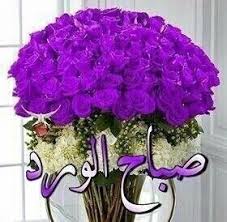 صباح البنفسج Flowers Hanukkah Wreath Wreaths