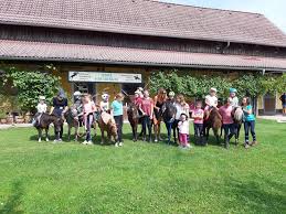 Discover the best of neuhofen an der ybbs so you can plan your trip right. Urv Neuhofen An Der Ybbs Home Facebook