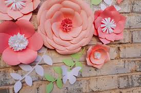 Premier trees, shrubs & flowers george and cathy have a selection of trees and shrubs that is wide in both variety and in size. Buy Fonder Mols Paper Flowers Decorations 5pcs 3d Pink Paper Peony Flowers Nursery Wall Decor Paper Flower Decor Girls Room Wall Decor Baby Shower Wedding Decor Online In Kazakhstan B00ovy07ta