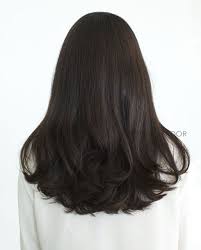 Wear These Hairstyles In 2017 Thick Hair Styles Hair Styles Medium Hair Styles