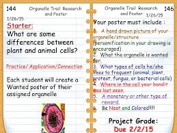 What is the difference between:. 1 26 15 Starter What Are Some Differences Between Plant And Animal Cells 1 26 Practice Application Connection Each Student Will Create A Wanted Ppt Download