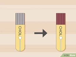Is there a home test for cholesterol. 3 Ways To Test Cholesterol At Home Wikihow