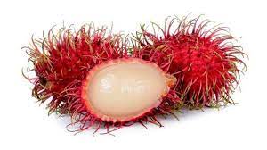 Buah rambutan juga mempunyai nama latin nephelium lappaceum, buah yang memiliki ciri khas pada. Rambutan Buah Dengan Sejuta Khasiat Untuk Obat Hingga Kecantikan Tribun Jogja
