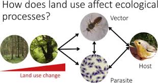 Loading @bernali_35 posts, please wait. Forests Of Opportunities And Mischief Disentangling The Interactions Between Forests Parasites And Immune Responses Sciencedirect