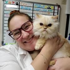 Our Cat Clinic Hospital Staff