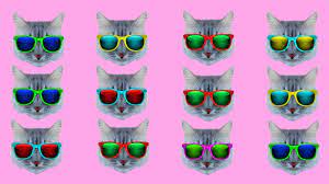 Free Motion Graphic Virtual Background Cool Cats Kittens Sunglasses Neon Summer Vj Loop Video Cat Background Motion Graphics Wallpaper