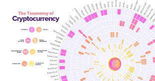 Is a permanent public record of all confirmed transactions that occur in the system and an integral part of the bitcoin ecosystem. A New Digital Economy Visualizing The Cryptocurrency Ecosystem