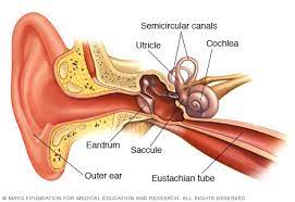 Treating inner ear infections and vertigo. Benign Paroxysmal Positional Vertigo Bppv Symptoms And Causes Mayo Clinic