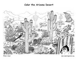 Desert Coloring Page Habitat Desert Animals Coloring Desert Animals Detailed Coloring Pages