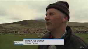 IRISH FARMER'S STRONG ACCENT IN COUNTY KERRY IRELAND