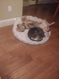 We did not find results for: Https Imgur Com Gallery P9xsxy0 Daily Https Imgur Com 7qnt9rc Jpg Https Imgur Com Ldijnwq Jpg 2020 04 11t18 00 09 840z Https Imgur Com Gallery Kyneliu Daily Https Imgur Com 0zvd1h9 Jpg Https Imgur Com 0zxuiin Jpg 2020 04 11t18 00