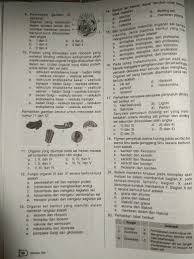 Itulah yang dapat kami bagikan terkait contoh soal uas biologi kelas 11 semester 1. Soal Biologi Kelas 11 Semester 1 Mohon Bantunya Gaes Brainly Co Id