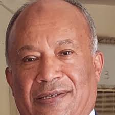 Aboul Ella HASSANIEN