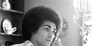 Mark Williams: the New Zealand years