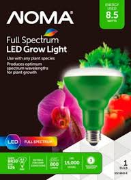 We did not find results for: Noma Full Spectrum Led Grow Bulb Br30 Canadian Tire
