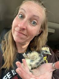 Been there. Done that. https://www.facebook.com/share/r/1AxoYEmp7d/