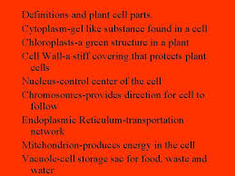 We did not find results for: Cells Make Up Plants Cells Make Up All
