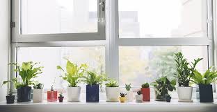 Awesome bild für ihre inspiration und informationszwecken bezüglich der erhebung deko ideen fensterbank wohnzimmer exklusive. Fensterbank Dekoration 57 Ideen Wie Sie Das Potenzial Der Fensterbank Entdecken