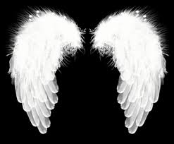 Check spelling or type a new query. Alas De Angel Png Imagenes Gratis 2021 Png Universe