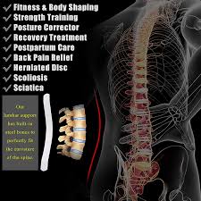 The main cause of the pain. Buy Hirui Back Brace For Lower Back Pain Relief Lumbar Brace For Men Women Spine Support For Herniated Disc Sciatica Scoliosis Lumbar Support With Adjustable Straps Breathable Mesh Steel Bones M Online In Indonesia B08tv3c7f1