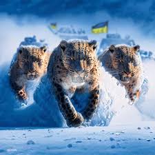 images?q=tbn:ANd9GcS1kVS3bJlgGNXJKktmqq8