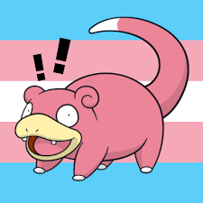 images?q=tbn:ANd9GcS1kVWLTb8trRSIEQM47fuoC6-zv7xzg352psv5YOilUrrbqynvRA&s