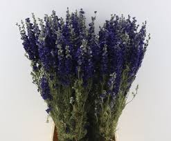 We can give big discounts if you buy in bulk. Buy Dried Flowers In Bulk Dried Flowers Bulk Wholesale