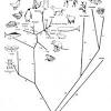 Darwin's theory of evolution is the widely held notion that all life is related and has descended from a common ancestor: 3