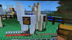 Is lama_adam your minecraft profile? Minecraft Lamas Zahmen Und Vermehren So Geht S Chip