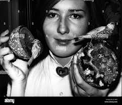 E wolfe hi-res stock photography and images