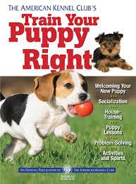 Download pdf akc star puppy book full free. The American Kennel Club S Train Your Puppy Right Companionhouse Books Welcoming Your New Puppy Socialization House Training Puppy Lessons Problem Solving Activities And Sports American Kennel Club 9781935484905 Amazon Com Books