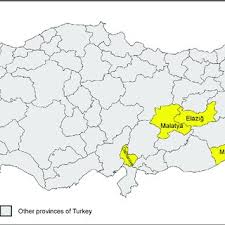 Image result for Crepidorhopalon whytei