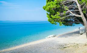 Auf den ersten platz steht der strand pasjača in konavle, einer ortschaft südöstlich von dubrovnik. Die 11 Schonsten Strande In Kroatien Der Ultimative Beach Guide 2021